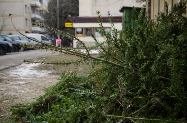 Komposzt lesz a karácsonyfából – de mikor dobjuk ki?
