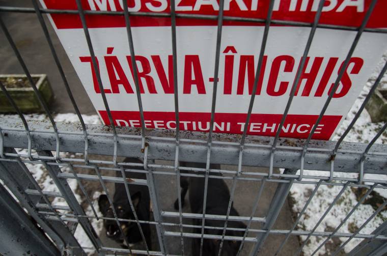 Nincs jégpálya, nincs karnevál