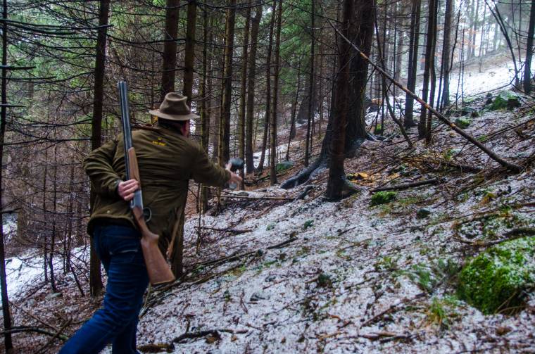 Meglátta-e a medve az árnyékát?