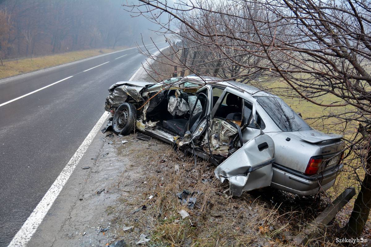 &bullet;  Fotó: Mihály Csaba