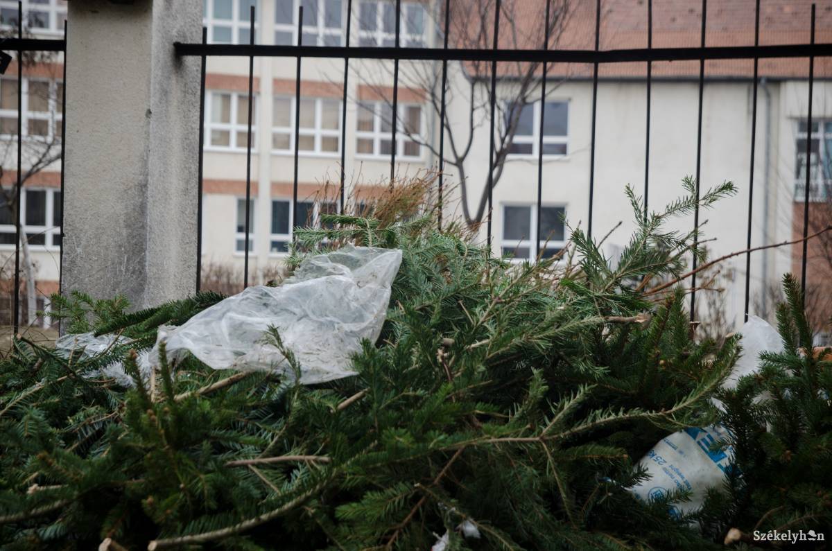 &bullet;  Fotó: Barabás Ákos