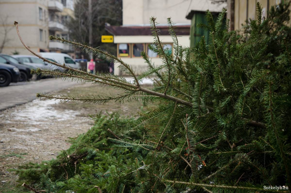 •  Fotó: Barabás Ákos