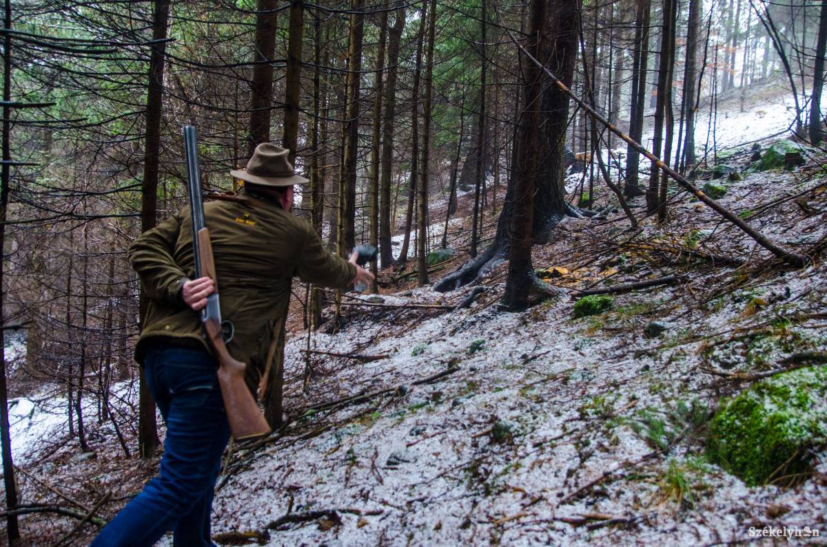 &bullet;  Fotó: Barabás Ákos