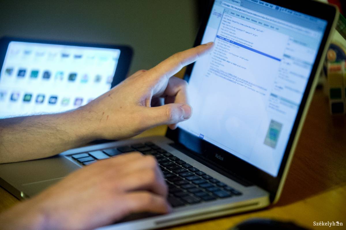 Növekedés. Az IT-ágazat bővítését a járványhelyzet is nagyban elősegítette. Képünk illusztráció •  Fotó: Barabás Ákos