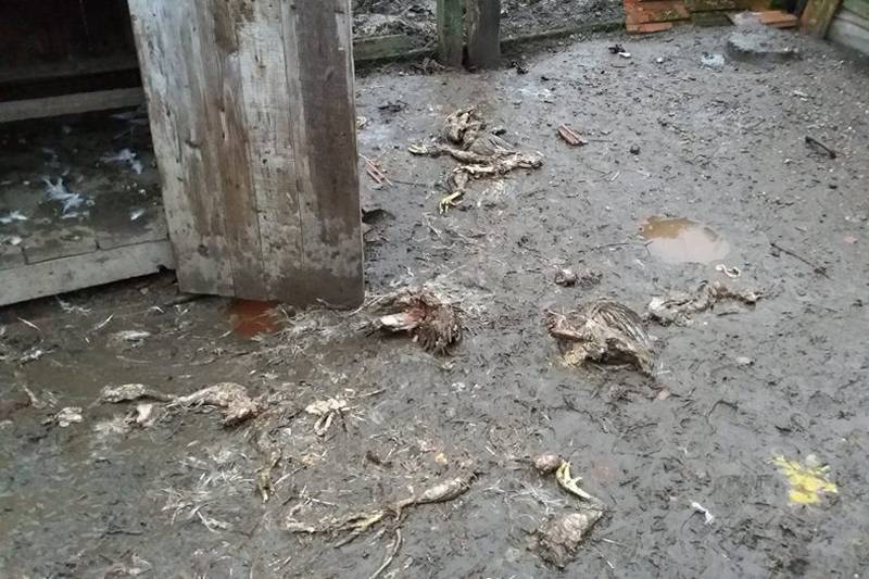 •  Fotó: Etéd Polgármesteri Hivatala