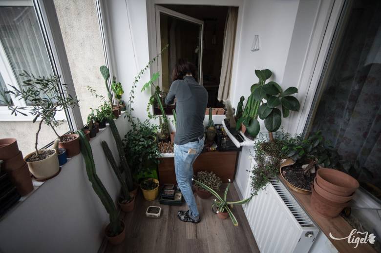 A fiatal párnál mindkét beépített terasz olyan, mintha egy kertbe toppannánk •  Fotó: Barabás Ákos