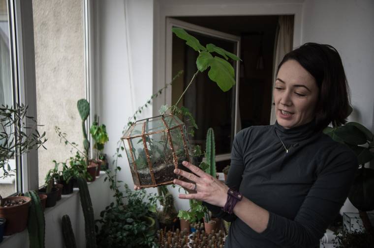 Kaktuszvárium a nappaliban, avagy hobbiból lett vállalkozás