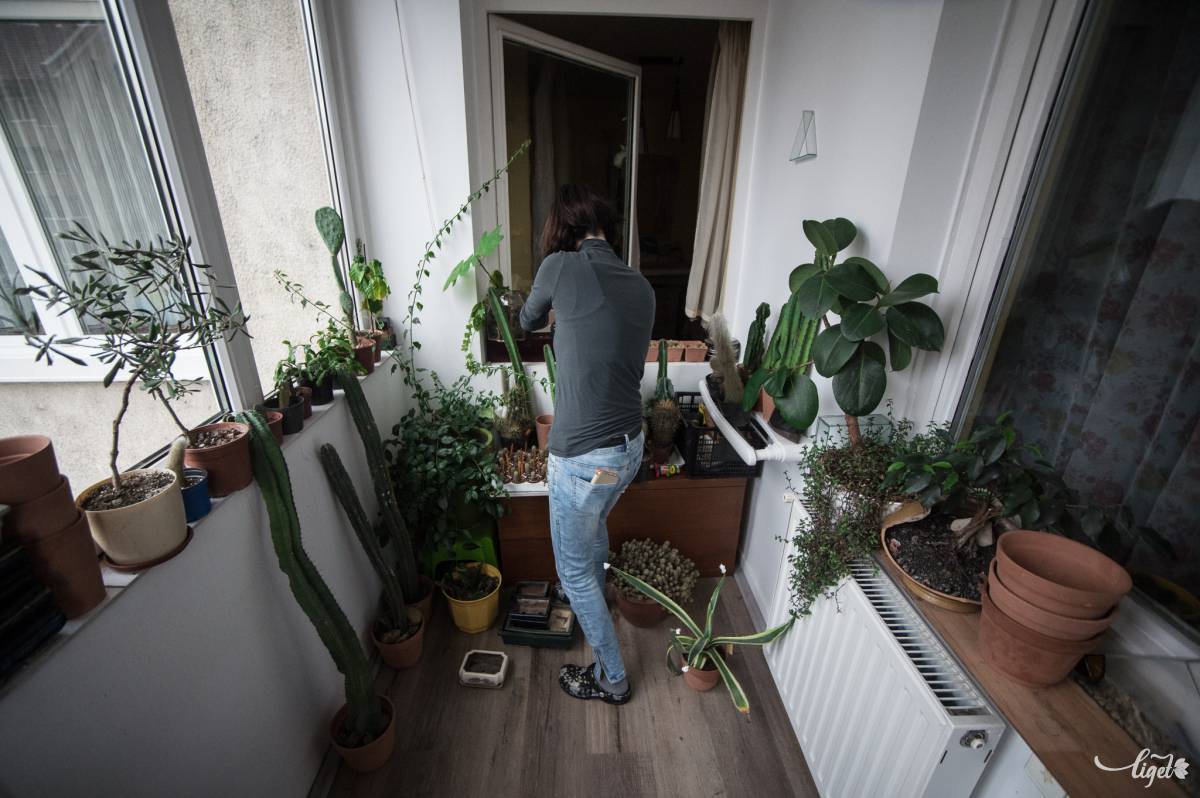 A fiatal párnál mindkét beépített terasz olyan, mintha egy kertbe toppannánk •  Fotó: Barabás Ákos