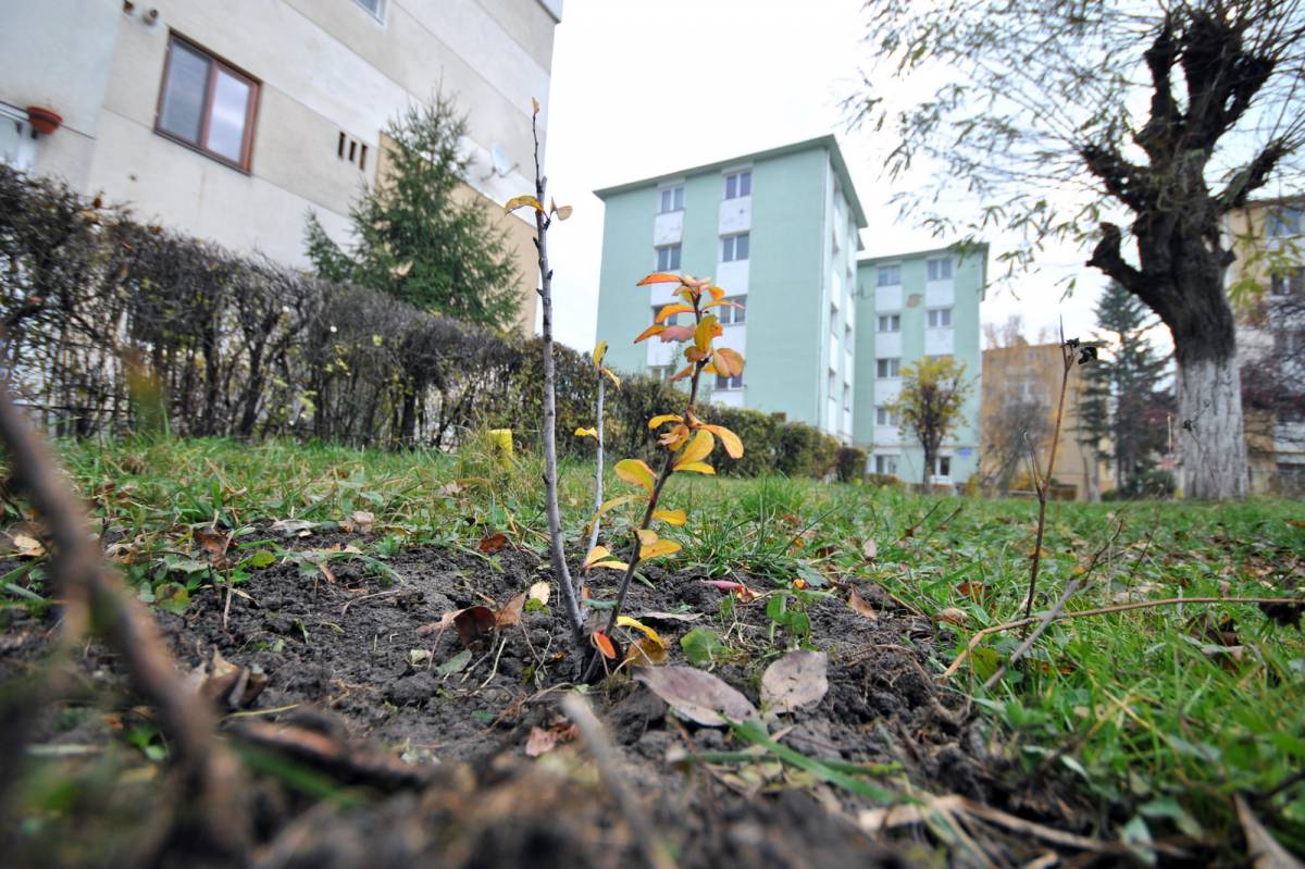 •  Fotó: Lőrincz Csaba