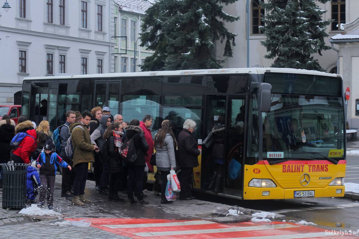 A városi buszokon kapaszkodók vannak, biztonsági öv nem kerül az ülésekhez •  Fotó: Pál Árpád