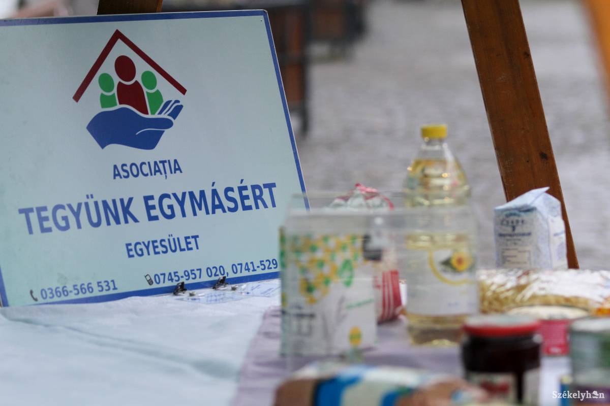 Az egyesület egy korábbi akciója. Akkor sikeresek voltak, most is hasonló eredményekre számítanak •  Fotó: Pál Árpád