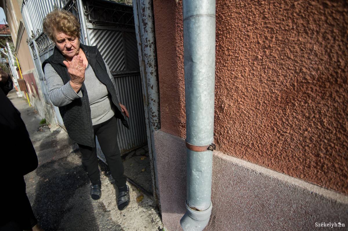 Orbán Katalin csupán a kivitelezésben talált hibát, de abban nagyon sokat •  Fotó: Barabás Ákos