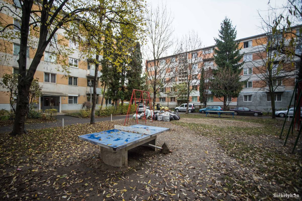 Lehangoló látvány. A Tomcsa Sándor utcai játszótérre is jócskán ráfért már a ráncfelvarrás •  Fotó: Barabás Ákos