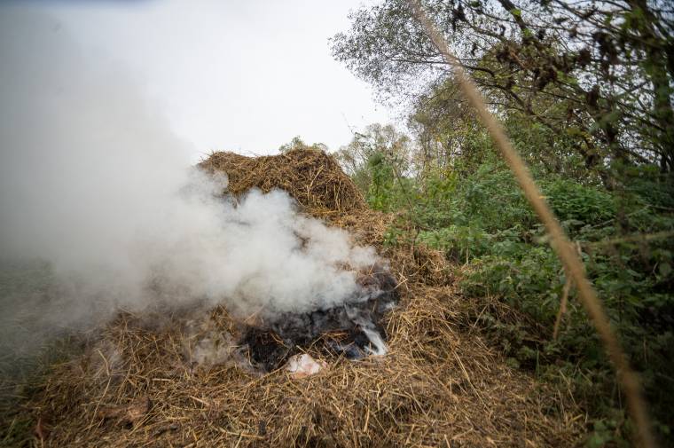 Büntethetnek a környezetőrség felügyelői, ha valaki komposztálható anyagot éget