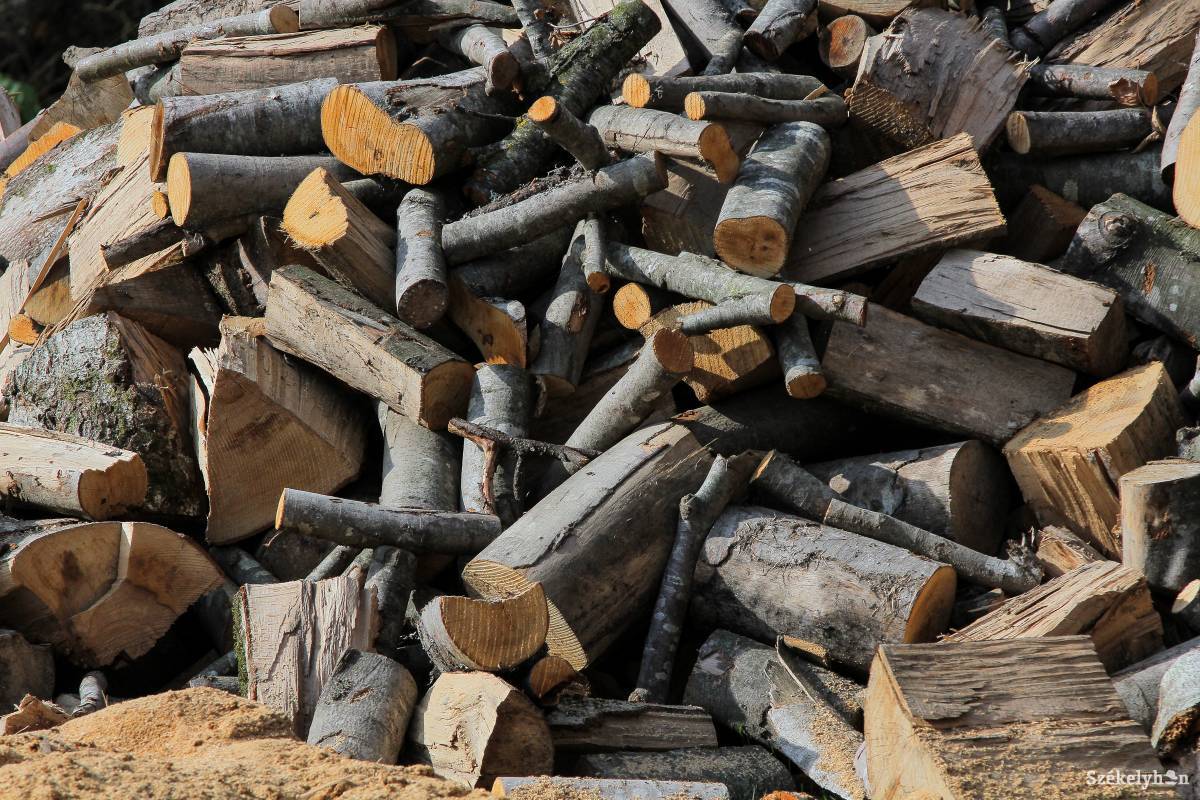 Képünk illusztráció &bullet;  Fotó: Pál Árpád