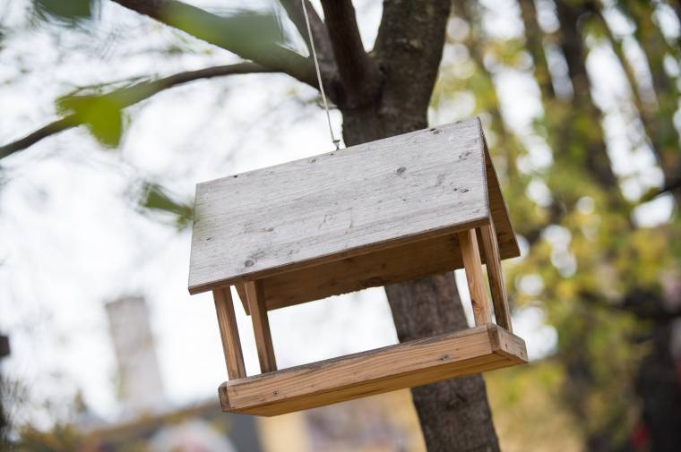 „Zöld szívek” vetélkedője a Zsibongóban