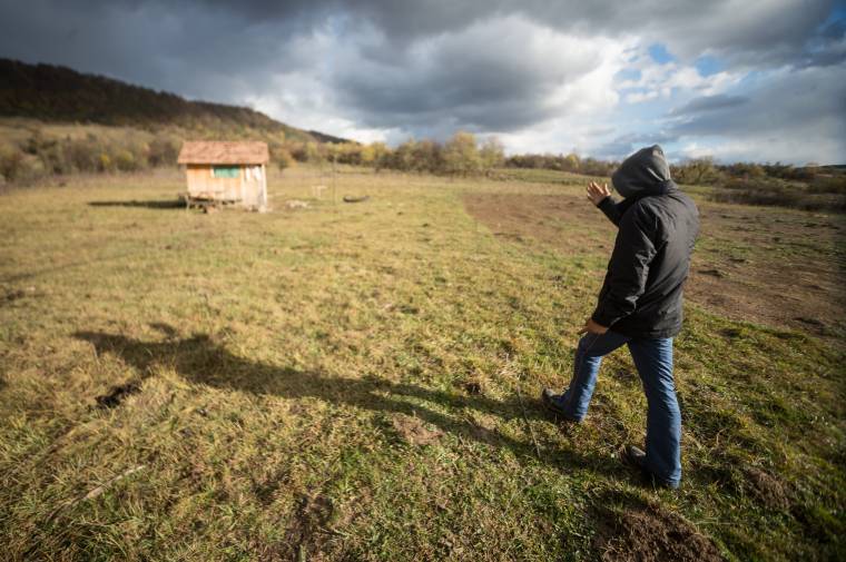 Korondi esztenánál támadtak meg egy fiatalt