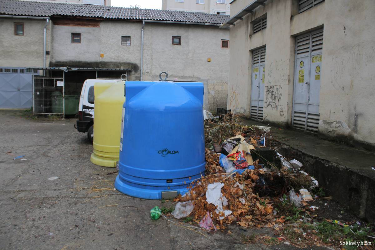 Nem csak a kukákba, melléjük is jut szemét bőven •  Fotó: Pál Árpád