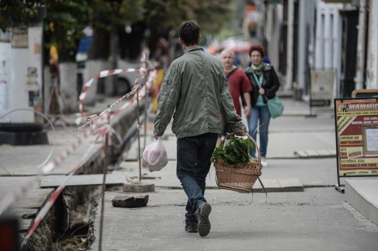 Közösségi Kosár: a sikersztori, melynek folyatást terveznek