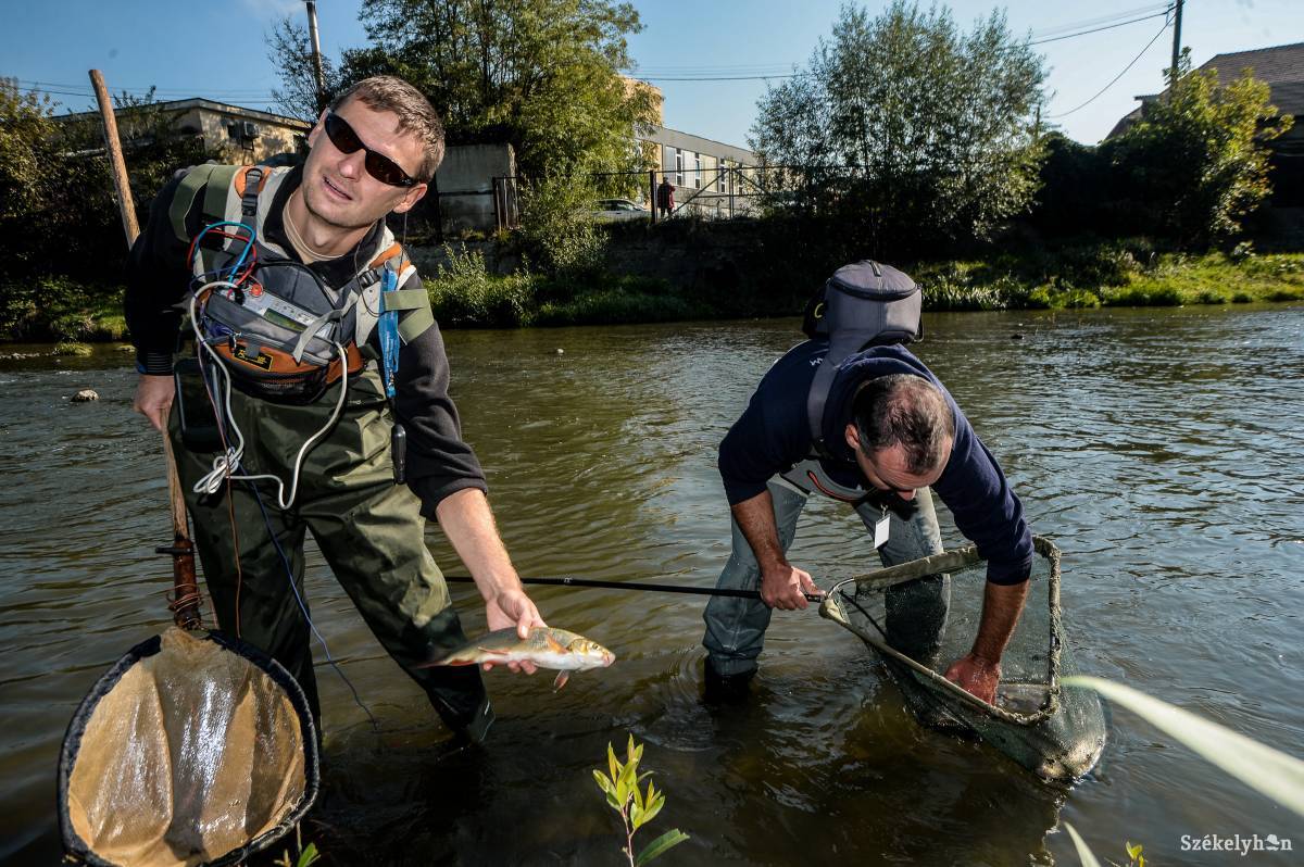 •  Fotó: Barabás Ákos