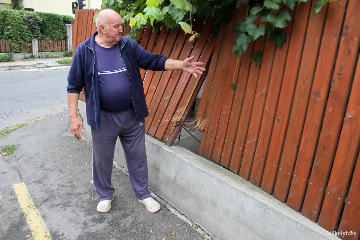 •  Fotó: Pál Árpád
