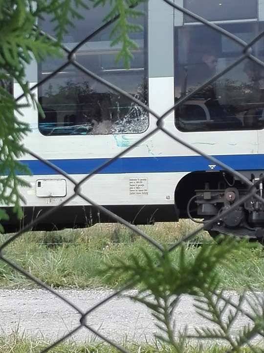 •  Fotó: Pál Árpád