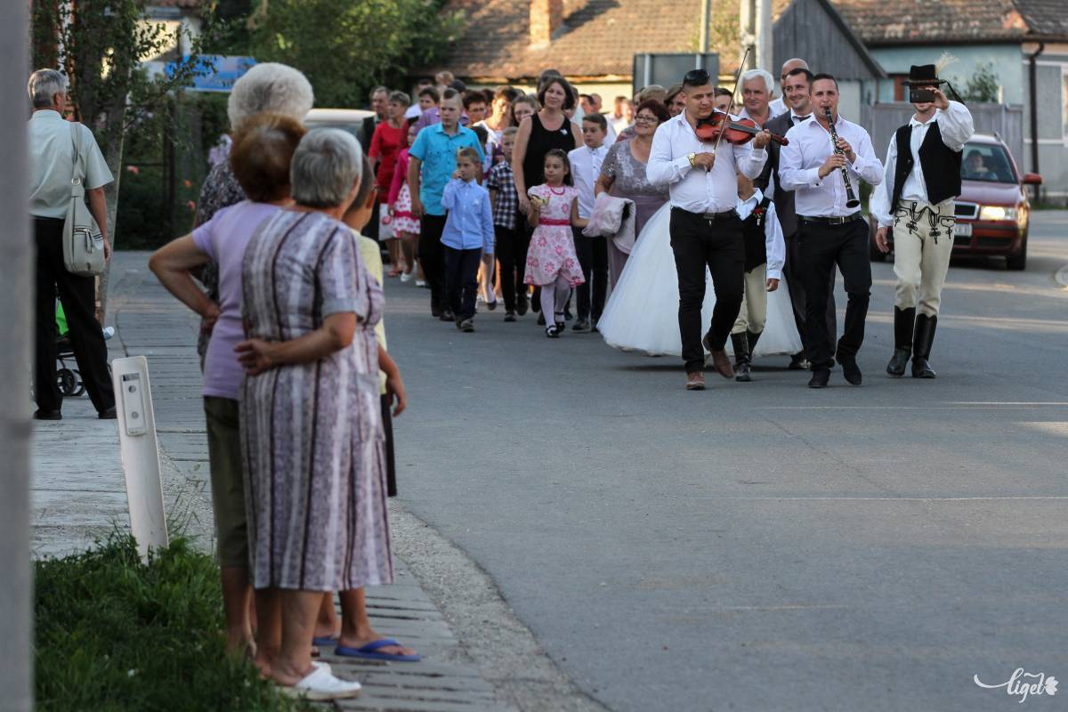 •  Fotó: Pál Árpád