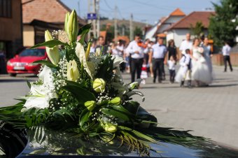 Esküvőszervezési bonyodalmak: éljen az ifjú pár!