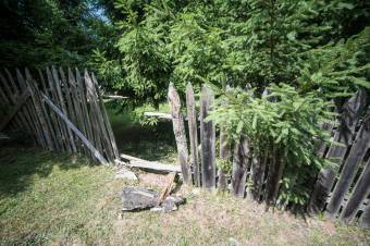 Hatalmas károkat okoztak a medvék Maros megyében, keveset fizettek ki