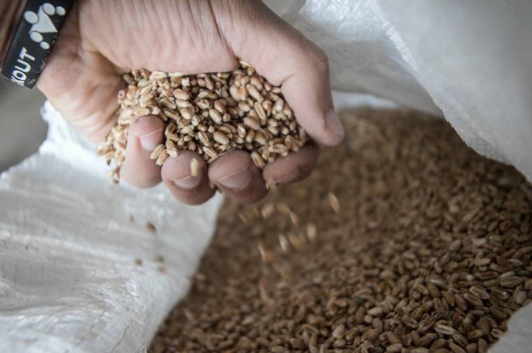 Kárpát-medence: egy kenyéren vagyunk