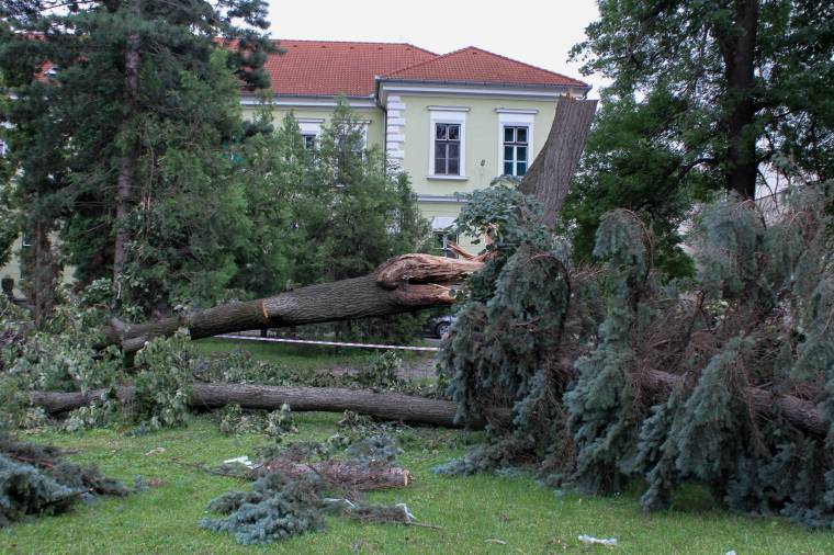 A vihar nyomait próbálta eltakarítani, leesett egy fáról a székelyudvarhelyi kórház karbantartója