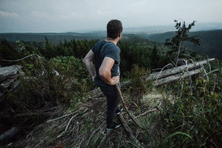 Ismét belevághatnak az erdő-visszaszolgáltatásba: beindulhat a restitúció Székelyföld és Moldva határán