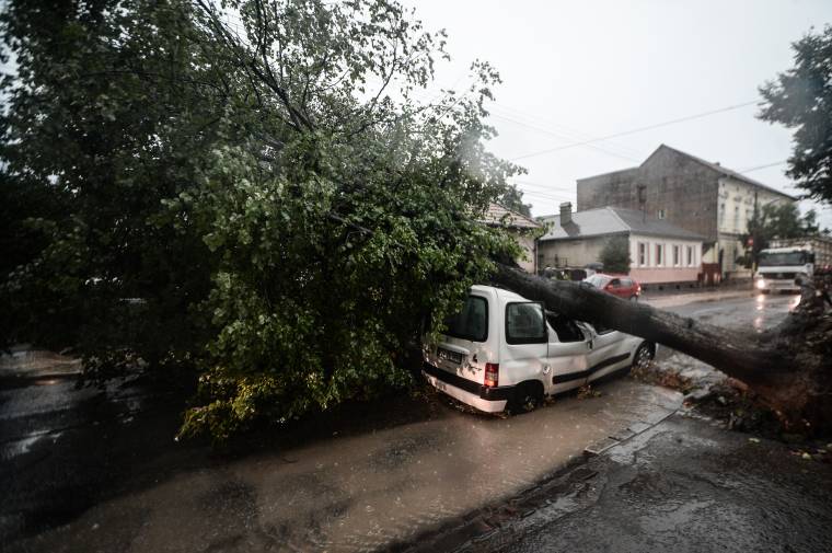 Íme, a top öt globális kockázat, ami idén fenyeget
