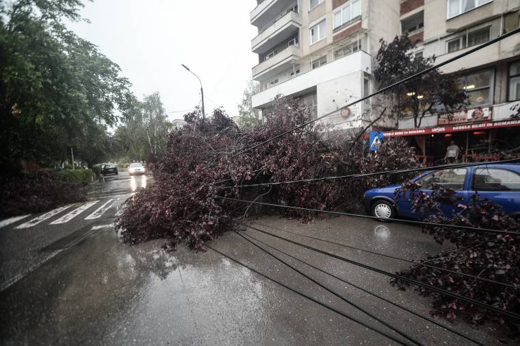 Mivel kezdte az áramszolgáltató a vihar után?