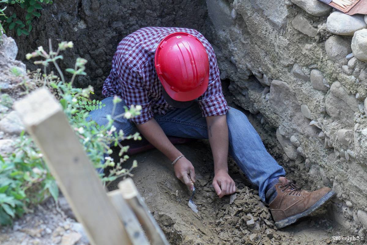 Illusztráció • Fotó: Pál Árpád