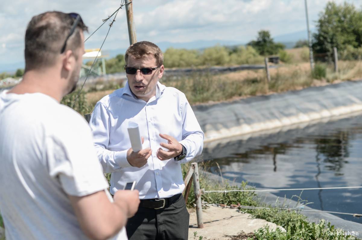 Két medence is van, ahol a csurgalékvíz előtisztítását végzik •  Fotó: Barabás Ákos