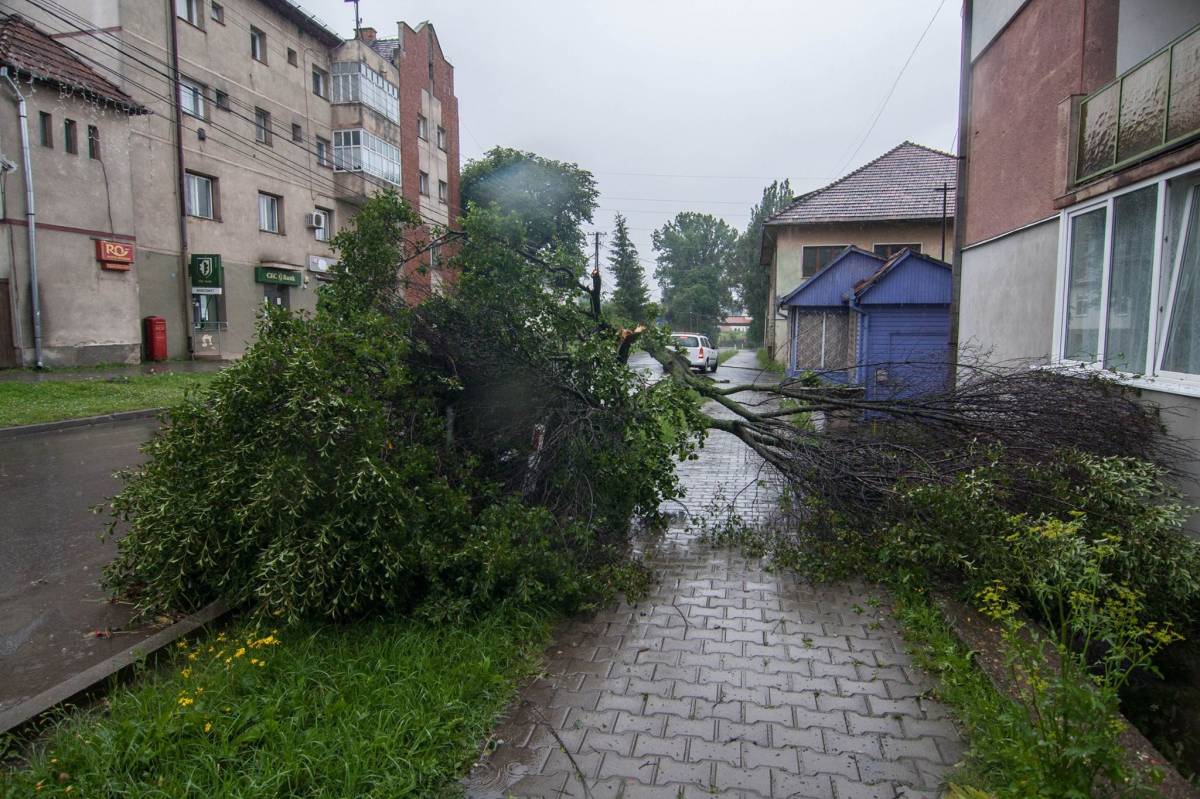 •  Fotó: Nagy István