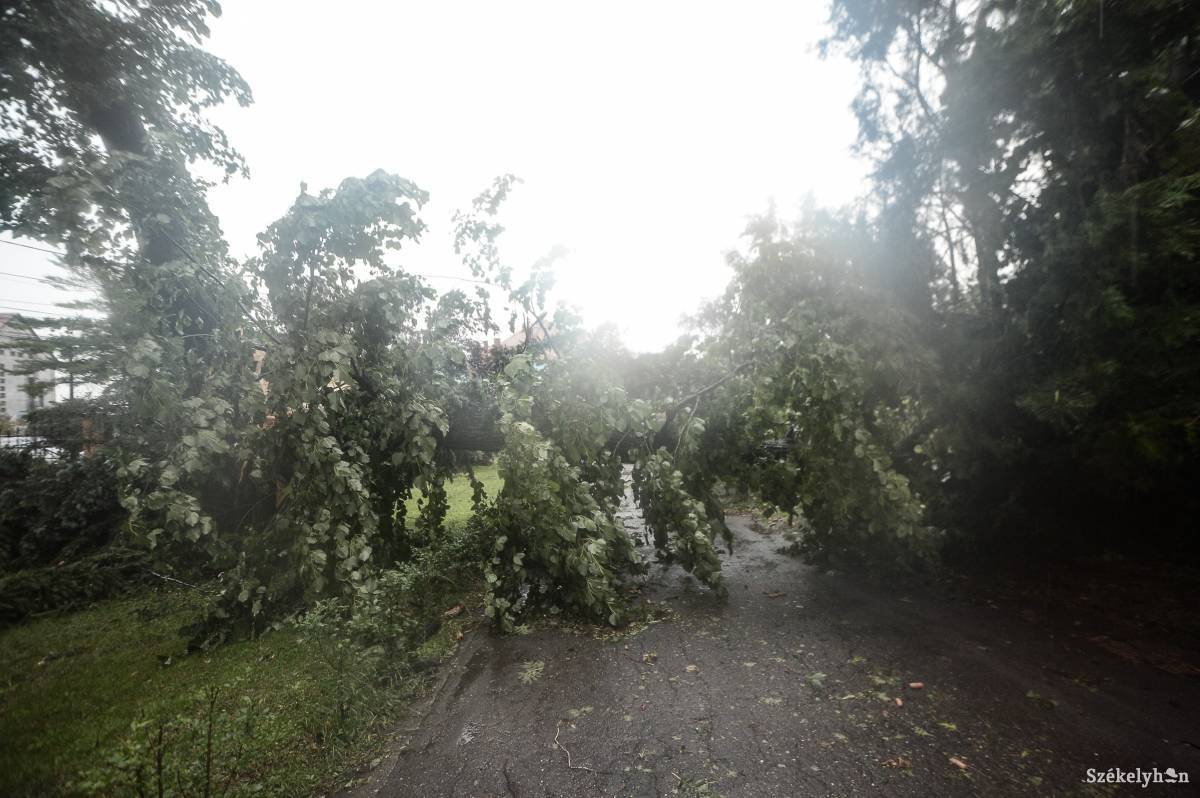 &bullet;  Fotó: Barabás Ákos