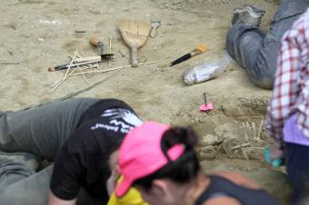 Ez a frissen azonosított erdélyi dinoszaurusz bizony hatalmas volt