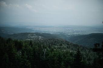 130 ezer hektár erdő visszaszolgáltatása elől hárult el az akadály