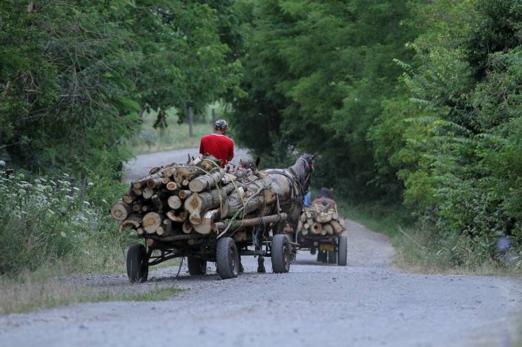 Megölték, mert rájuk szólt, hogy hajtsanak lassabban a szekérrel