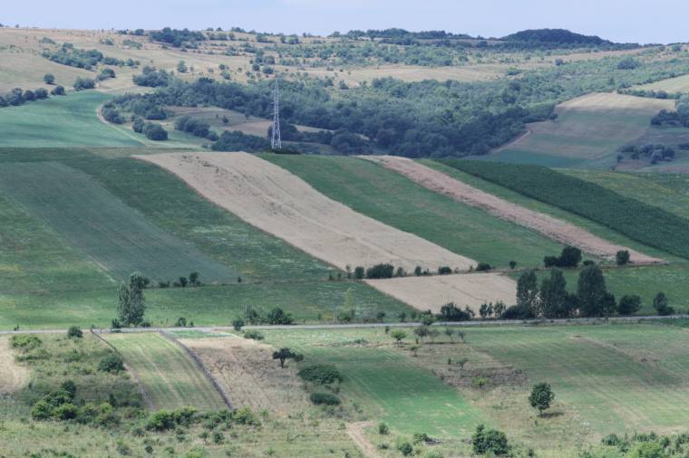 Sok a nadrágszíjparcella, lassan halad a tagosítás – a szakemberek a nagyobb mezőgazdasági területek kialakítását szorgalmazzák