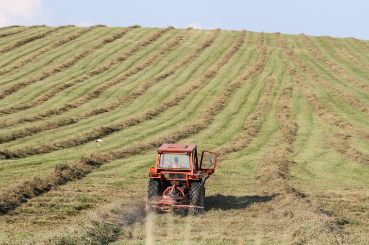 Csütörtöktől lehet leadni az egységes agrártámogatási kérelmeket