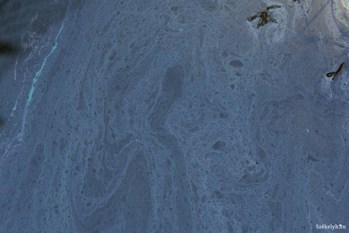 Az élővilág megsínylette az olajszennyezést •  Fotó: Pál Árpád