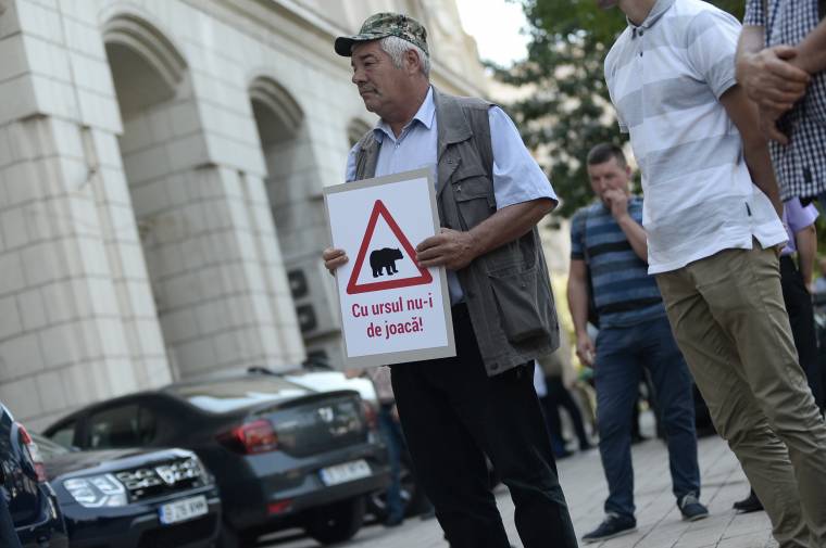 Békés tüntetésre készülnek a nagyvadak miatt