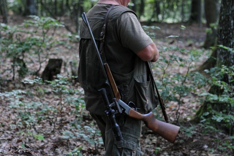 Sürgeti a veszélyes medvék kilövését a csíkszeredai vadászegyesület