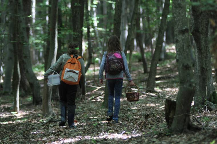 Akad még valaki, aki puska nélkül be mer menni az erdőbe?