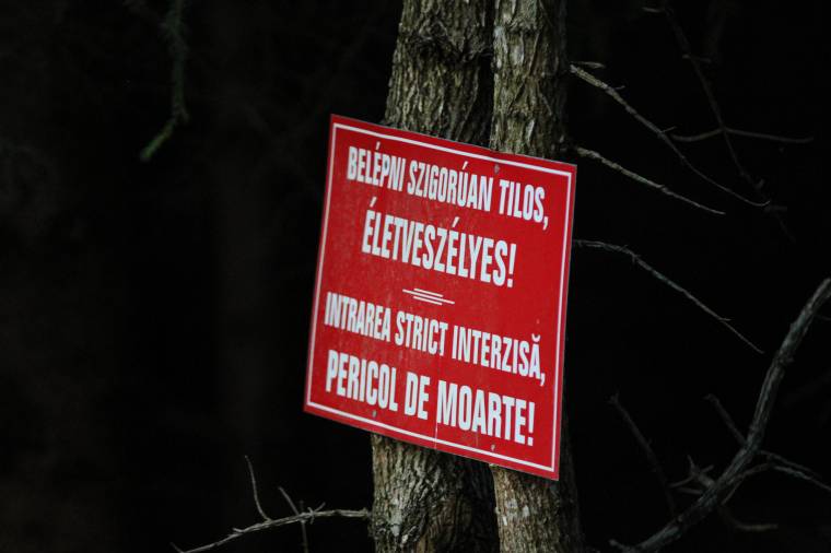 Medveles területére tévedtek, olcsón – mindössze az ijedtséggel – megúszták