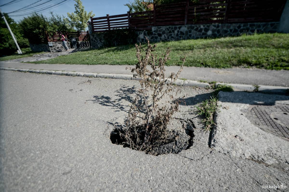 &bullet;  Fotó: Barabás Ákos