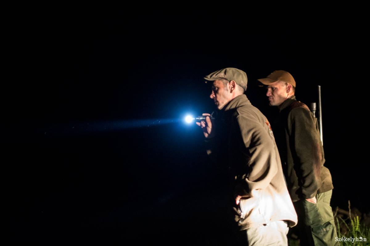 •  Fotó: Barabás Ákos